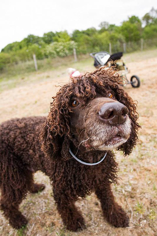 2015_05_16_missy